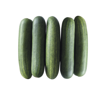 Cucumber